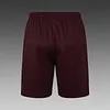 Joyfball 2025/2026 Short sleeved Ajax pre-match training Jersey+Shorts  1:1 Thai Quality