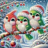 Diamond Painting - Partial Special Shaped Drill - Winter Bird(Canvas|30*30cm)