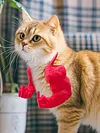 Cat Muscle Arm 3D Printed Neck Arm with Muscle Pet Cosplay Costume Accessories