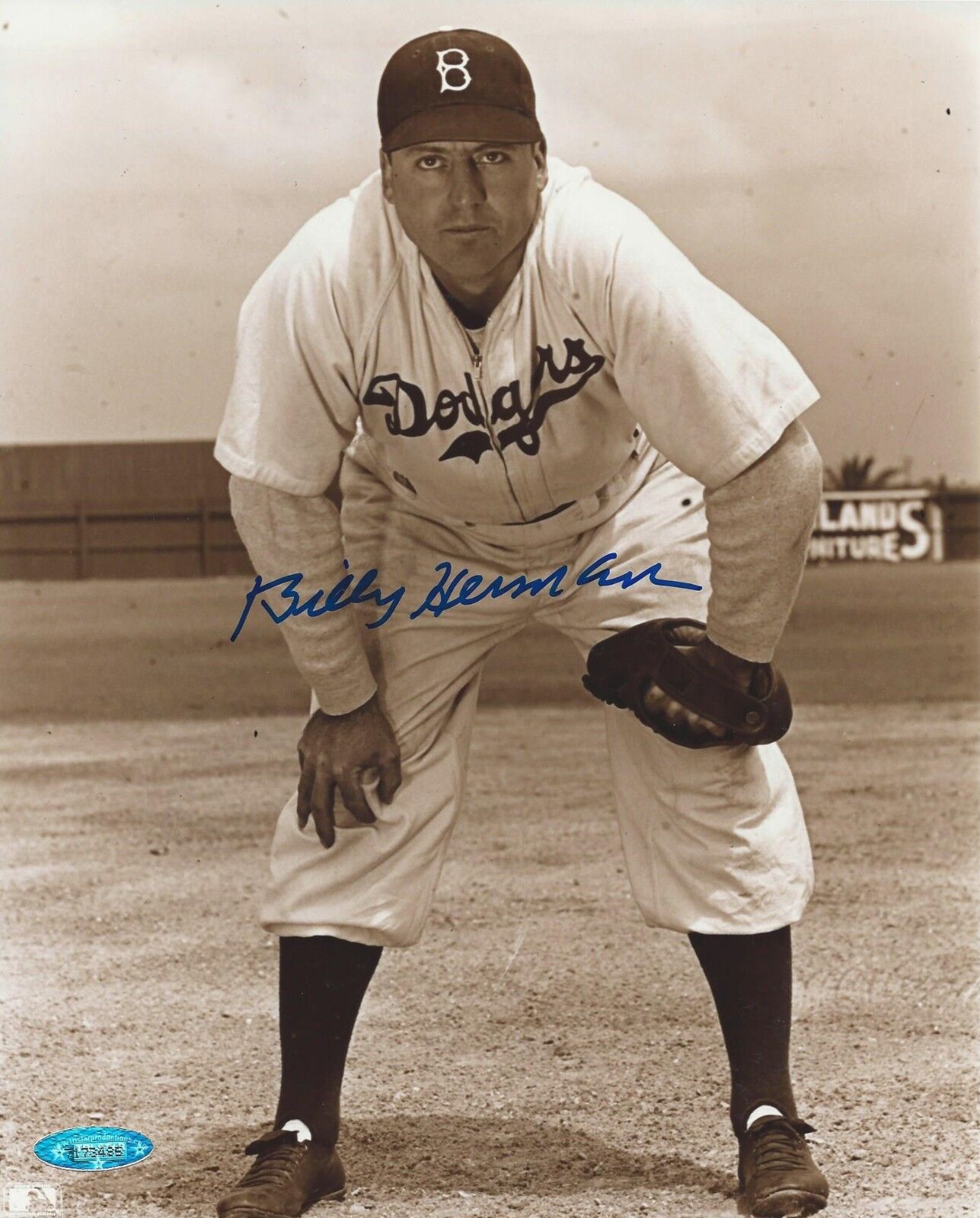 Billy Herman Brooklyn Dodgers Signed 8X10 Photo Poster painting Tristar # 7173485