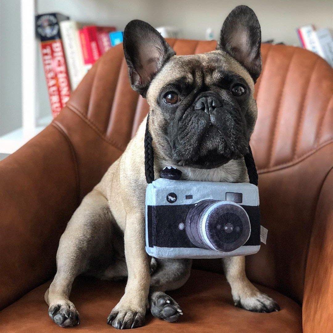 Camera Plush Toy for Pets