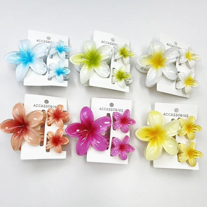 Vacation Modern Style Women’s Flower Resin Hair Claws