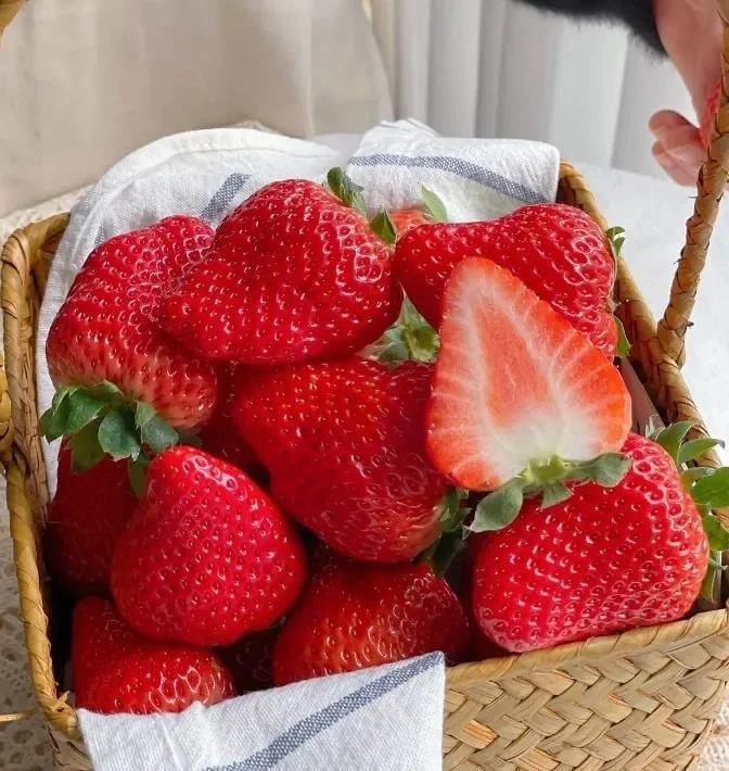 🔥Hot Sale - 49% Discount🔥All Season Cream Strawberry Seeds🍓