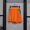 2026 Player Version C&ocirc;te d'Ivoire Orange Shorts 1:1 Thai Quality