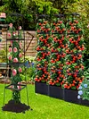 4 Tier Planter Stake Tower with Trellis Tomato Cage Self Watering Indoor Outdoor