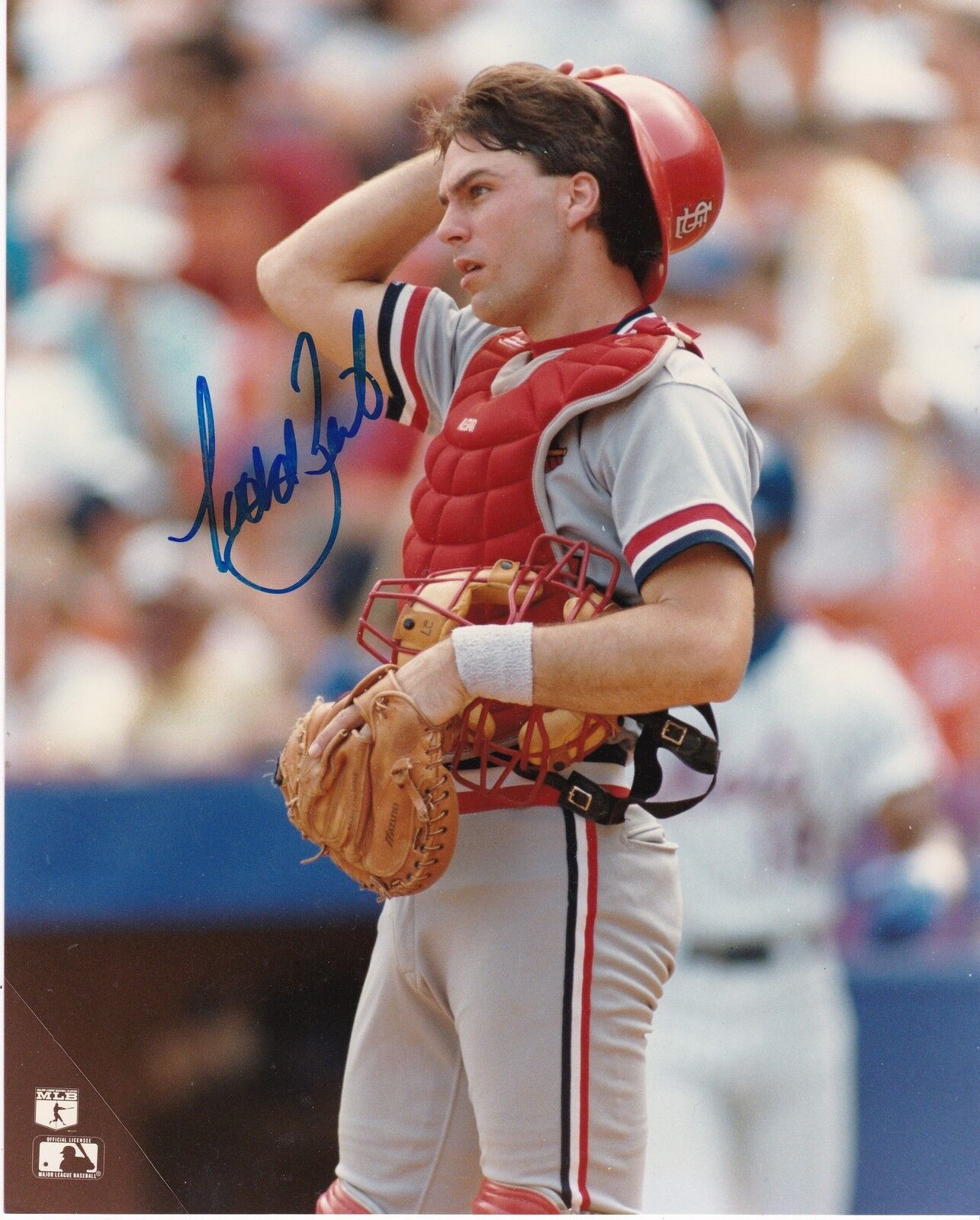 TODD ZEILE ST. LOUIS CARDINALS ACTION SIGNED 8x10