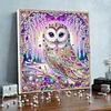 Framed Diamond Painting - Special Shaped - Owl (25x25cm)