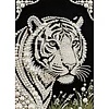 Diamond Painting-DIY Special Shaped Drill Pearl Painting Tiger(30x40cm)