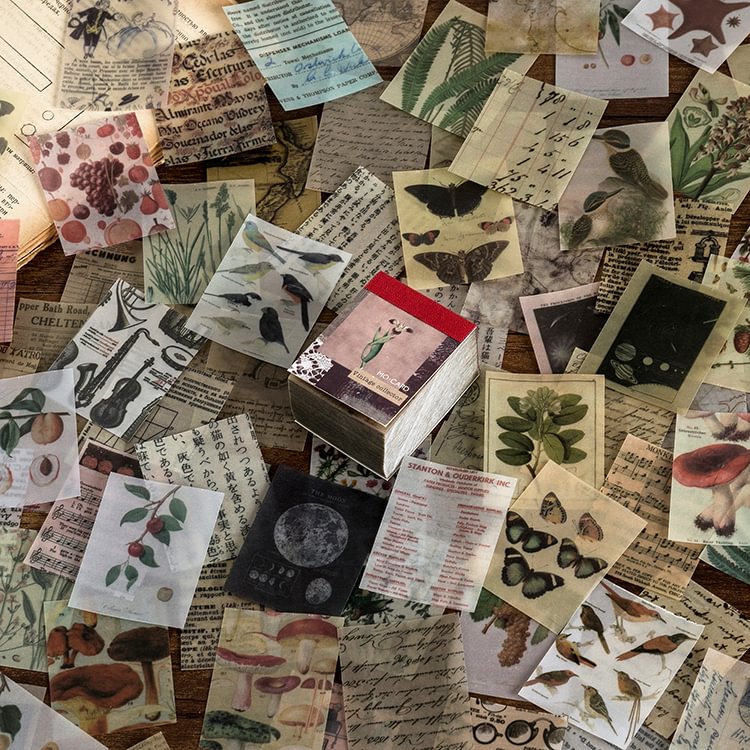 JOURNALSAY 366 Pcs Not Repeating Sulfuric Acid Paper Material Book Retro Plant Memo Pad No Sticky