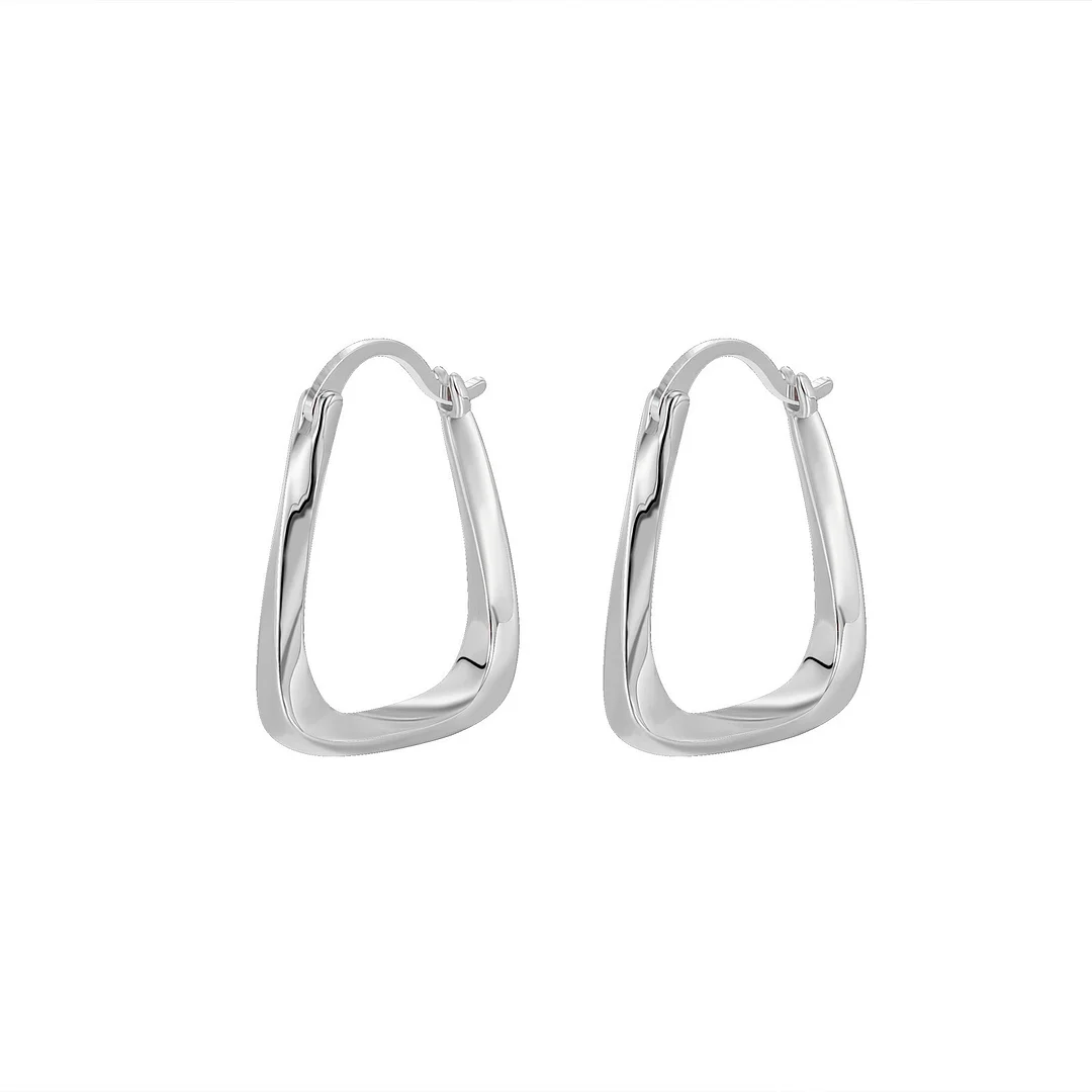 Fashion & Luxury Irregular Shape Earrings