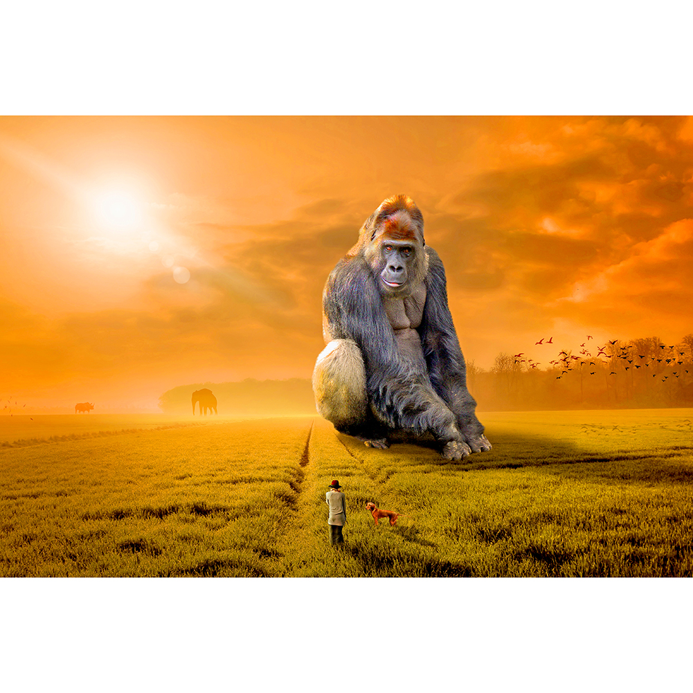 

Gorilla in the Sun - 1000 Pieces Jigsaw Puzzle, 501 Original