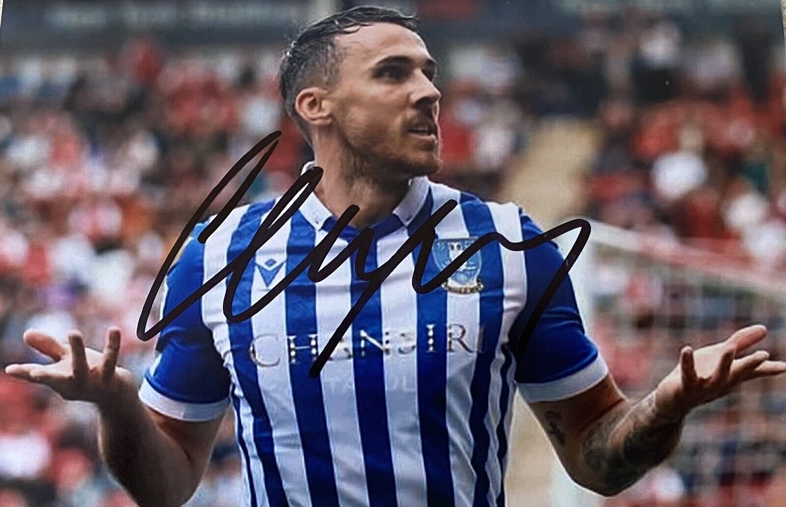 Lee Gregory Genuine Hand Signed Sheffield Wednesday 6X4 Photo Poster painting 2