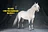 Mr.Z MRZ056 1/6 Thoroughbreds Horse Harness Statue Model Fit 12'' Soldier Action Figure Dolls-aliexpress
