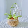 DIY Flower Potted Crochet Kit with Video Tutorial Cute Plants Hand-Knitted Tool