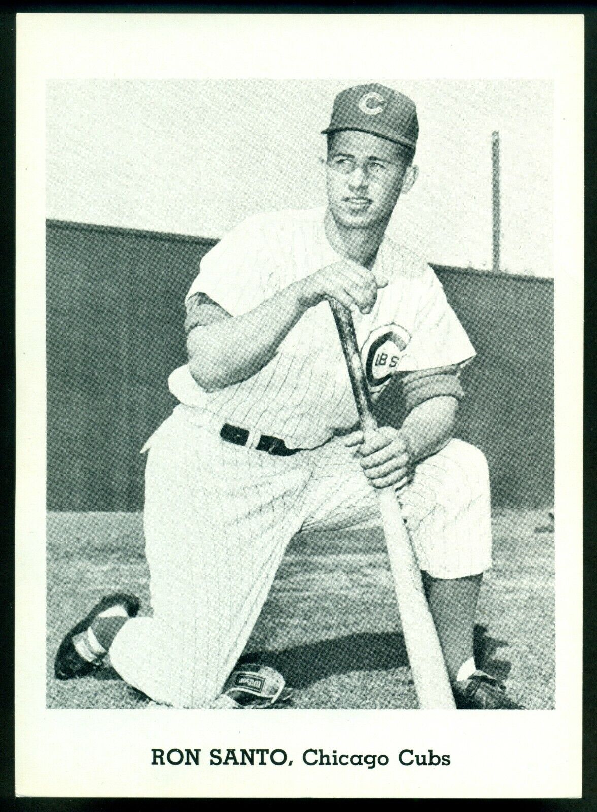 Original EARLY 1960's RON SANTO CHICAGO CUBS Team Issue B&W Photo Poster painting Card 5X7 EX-NM