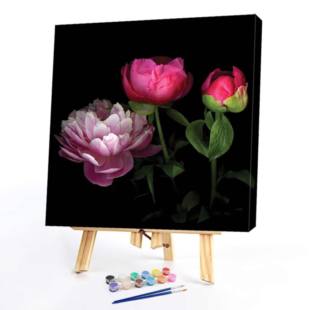 

20*20CM - Paint By Numbers - Chinese Herbaceous Peony, 501 Original