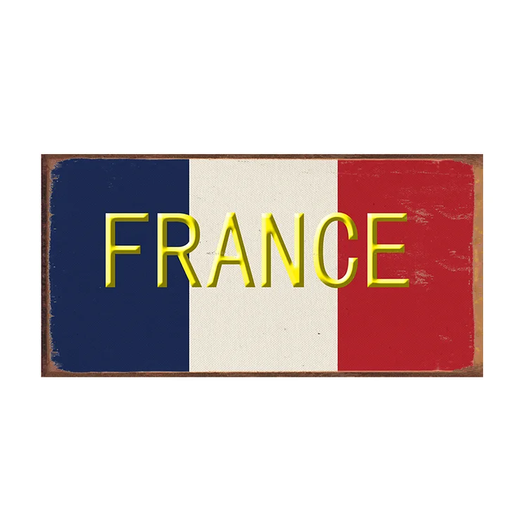 Permis de plaque d’immatriculation de voiture ancienne - 5.9x11.8inch