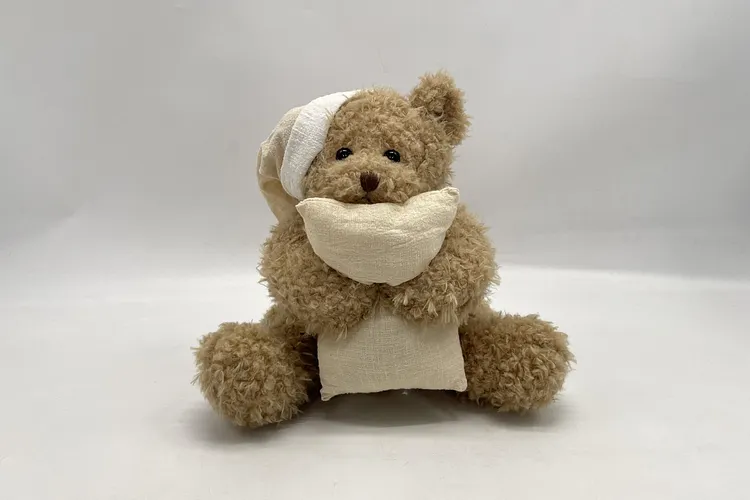 Plush Teddy Bear
