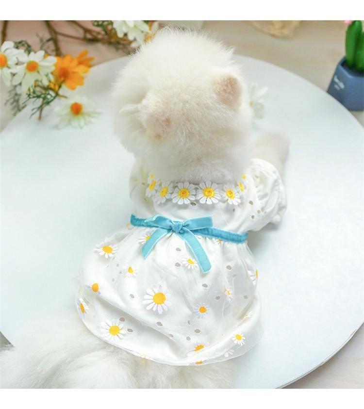 Daisy Summer Dress for Pets