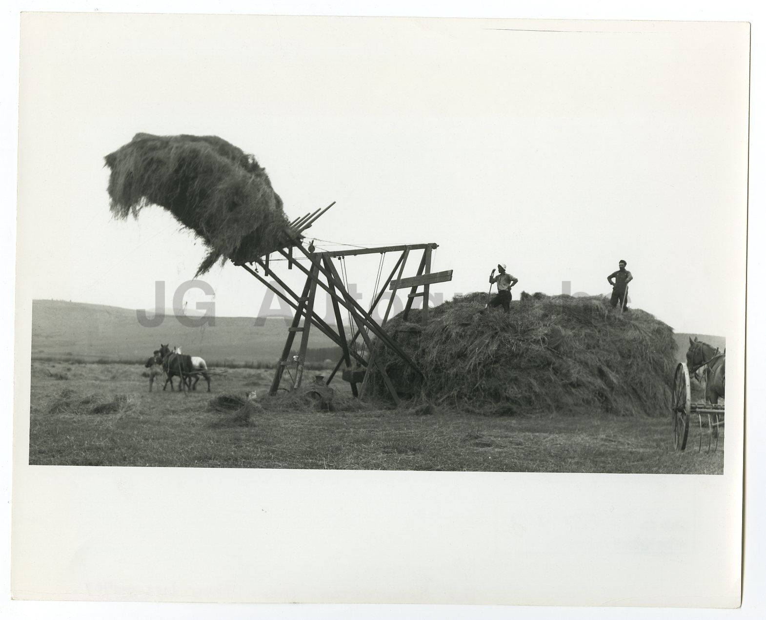 Washington State History - Farming, Kittitas Valley - Vintage 8x10 Photo Poster paintinggraph