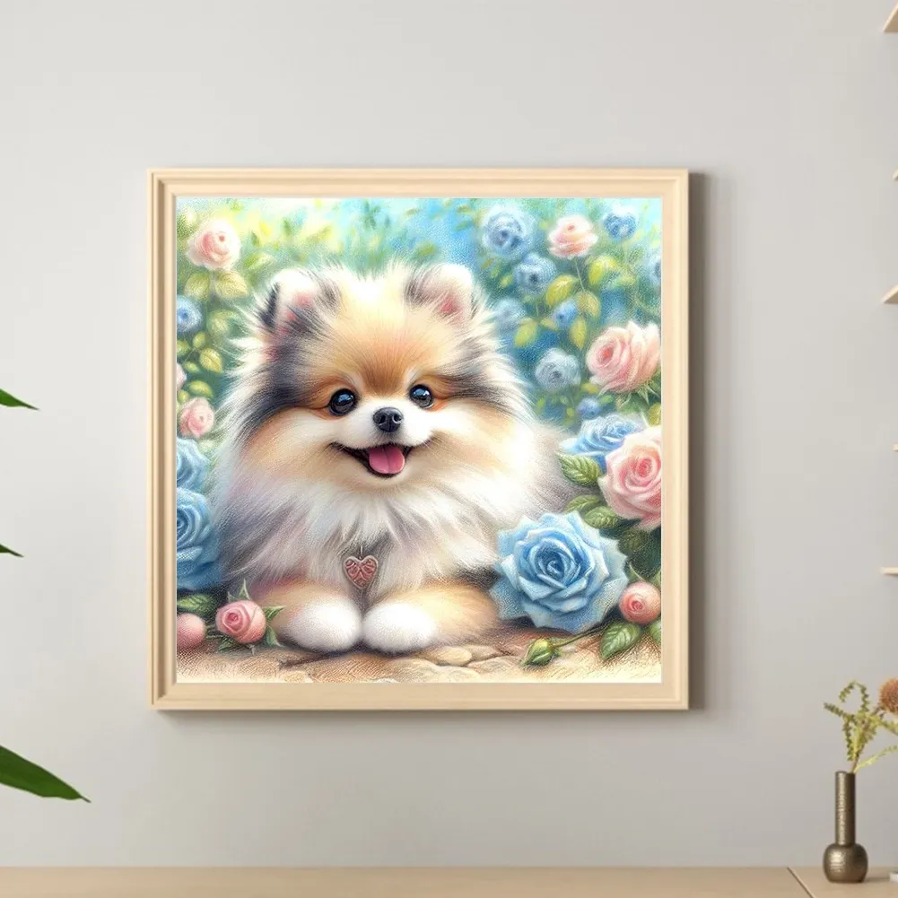 Diamond Painting - Full Round Drill - Rose Pomeranian(Canvas|30*30cm)
