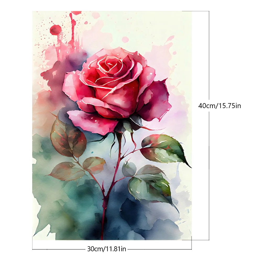 DIY Paint By Number 30*40cm - Rose