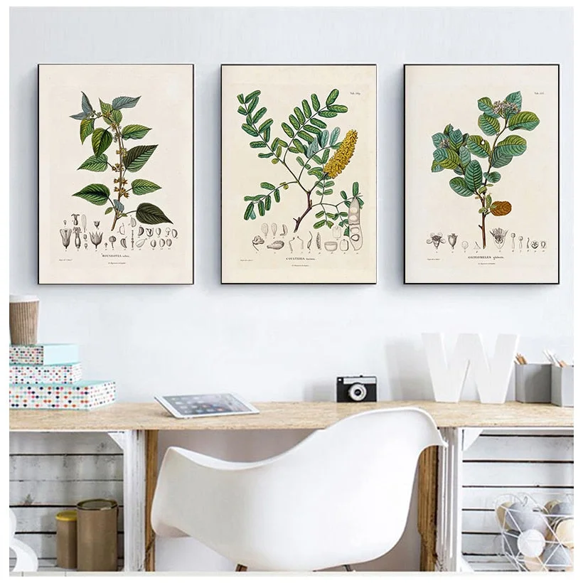 Botanical Studies Vintage Posters and Prints Antique French Plant Illustrations Canvas Painting Botany Wall Art Pictures Decor
