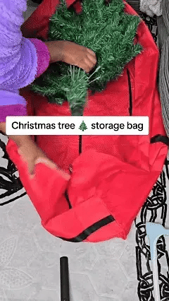 Dual Zipper Christmas Tree Storage Bag