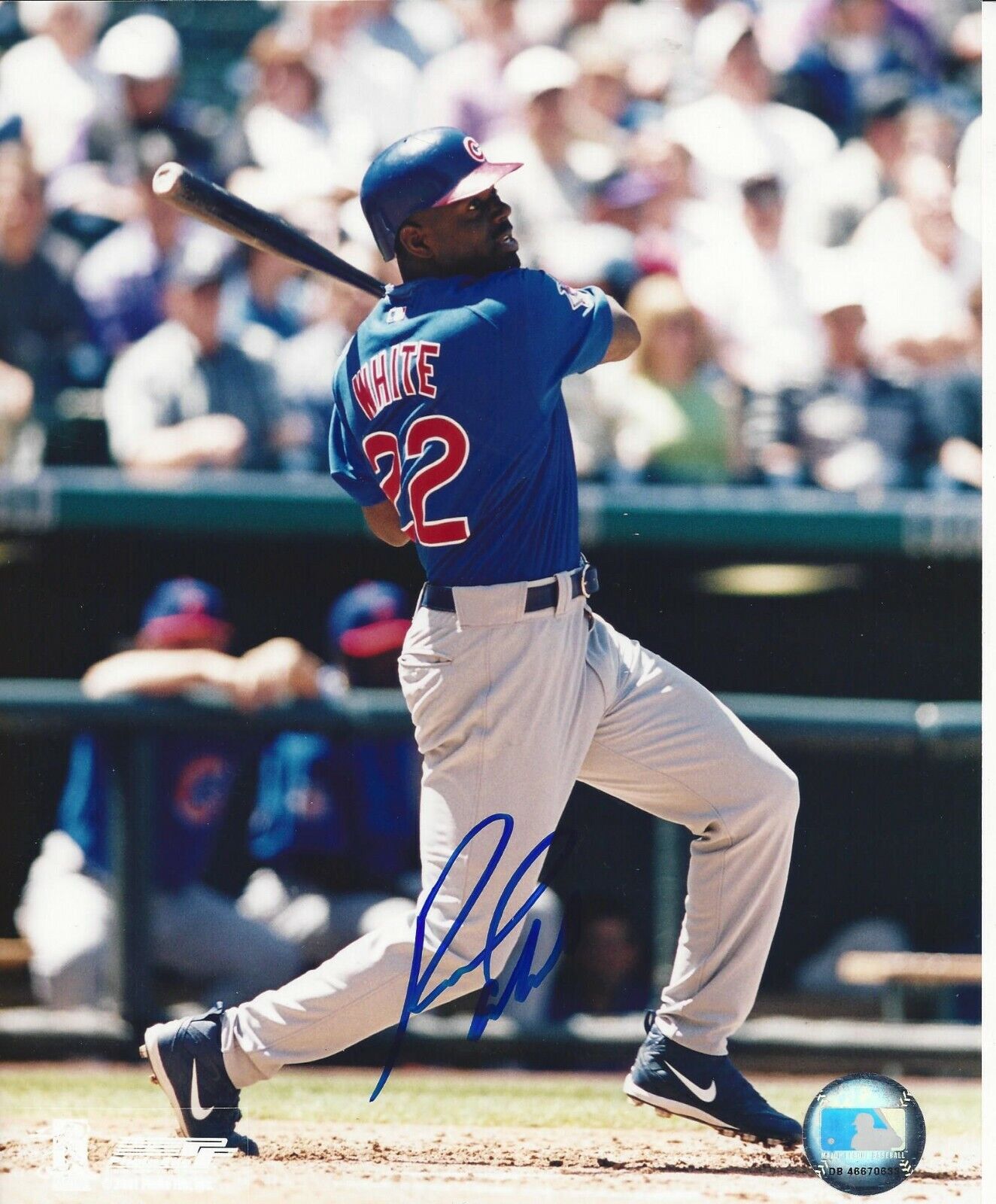 Rondell White Autographed 8x10 Chicago Cubs#S456