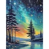 Colorful Starry Sky-11CT Stamped Cross Stitch 40*53cm tapestrymarket