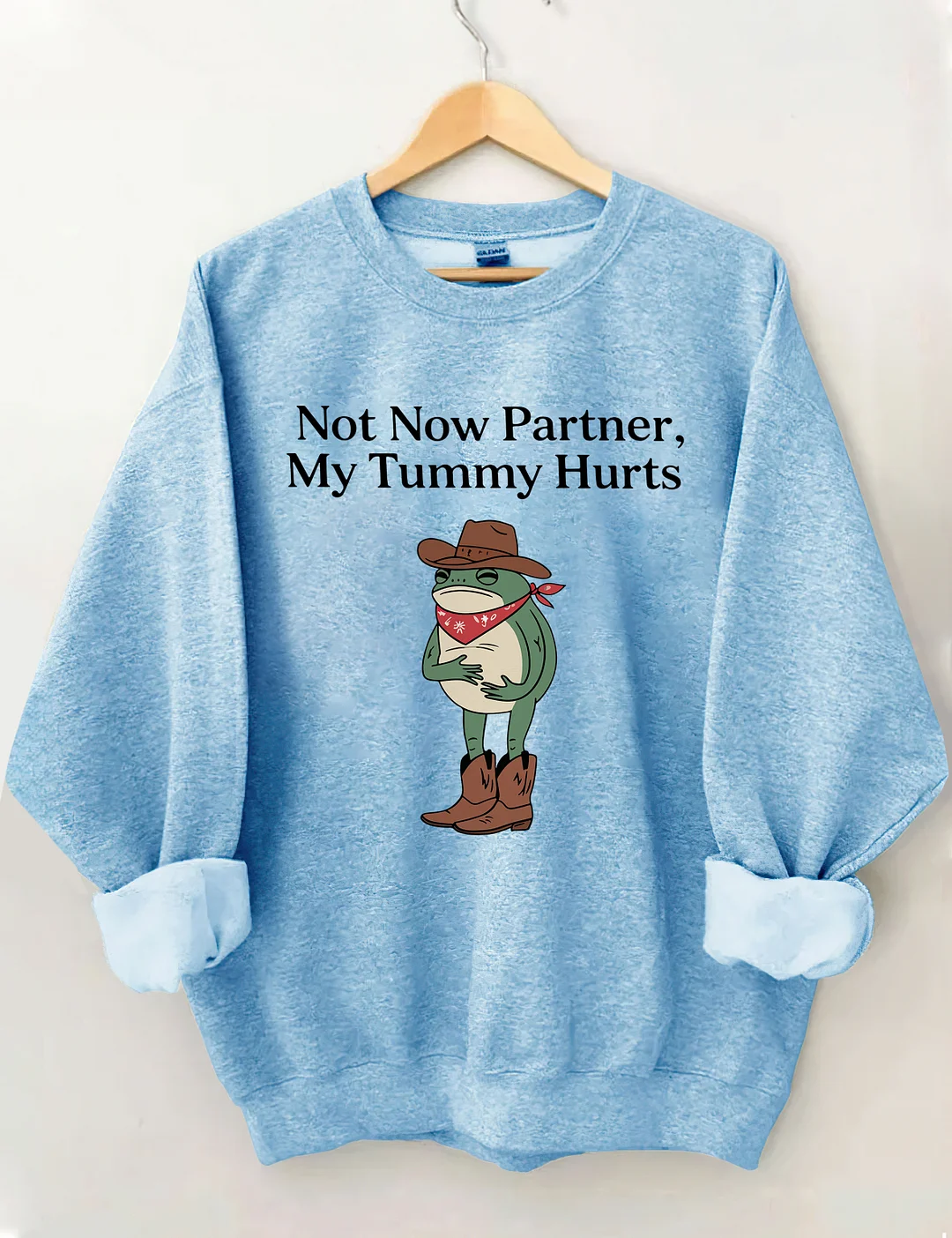 Not Now Partner My Tummy Hurts Sweatshirt