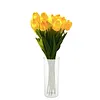 Twinkling Tree Tulips