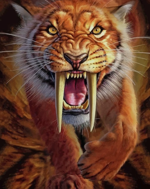 

Mad Tiger – Paint By Numbers - 40*50CM, 501 Original