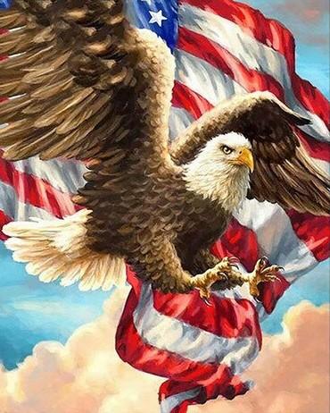 

Flage American Eagle – Paint By Numbers - 40*50CM, 501 Original