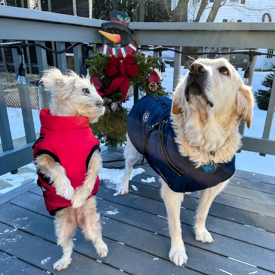 LuluPawz&trade; 3 in 1 Winter Coat
