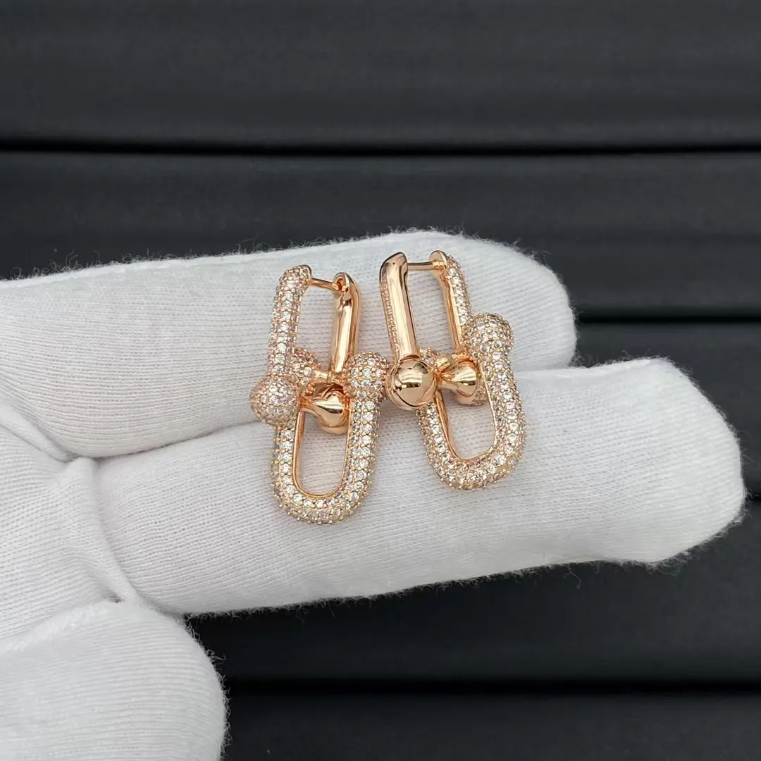Tiffany HardWear Large Link Earrings