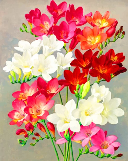 

Aesthetic Flowers – Paint By Numbers - 40*50CM, 501 Original