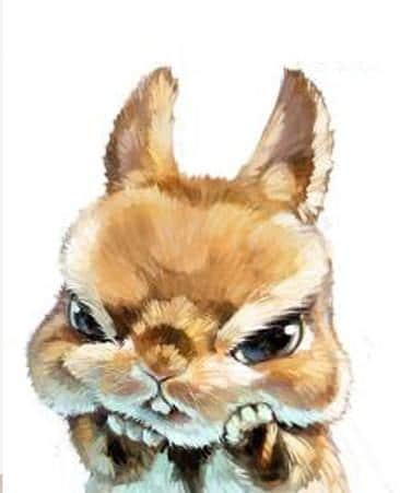 

Angry Rabbit – Paint By Numbers - 40*50CM, 501 Original