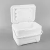 6L Insulated Portable Cooler with Handle Ice Bucket for Outdoor Picnic (White)