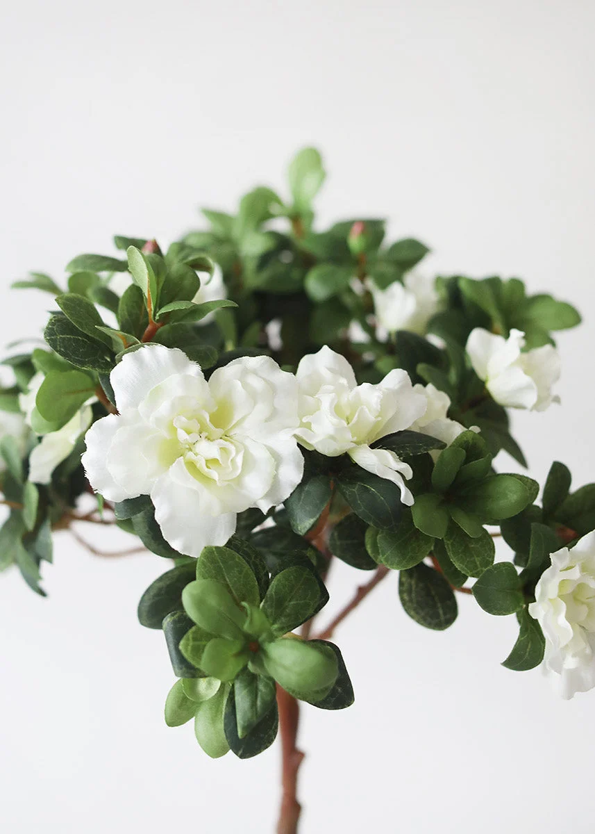 Silk Azalea Bush in Cream White - 12"