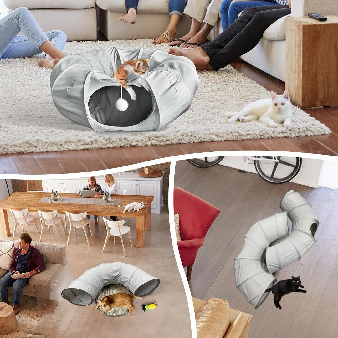 Tiertunnel