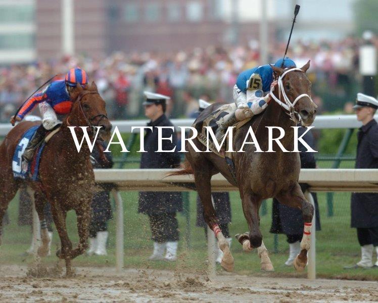 SMARTY JONES 2004 Kentucky Derby Winner Horse Racing 8 x 10 Photo Poster painting Race Man Cave