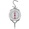Fish Scales with 2 Hooks Mechanical Pointer Hook Scale Practical Handheld Scale