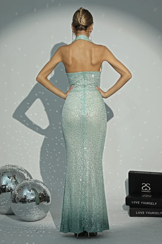 Alba Sequined Maxi Dress javen