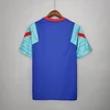 2021/2022 Barcelona Jersey Training Wear Blue And Green love fball