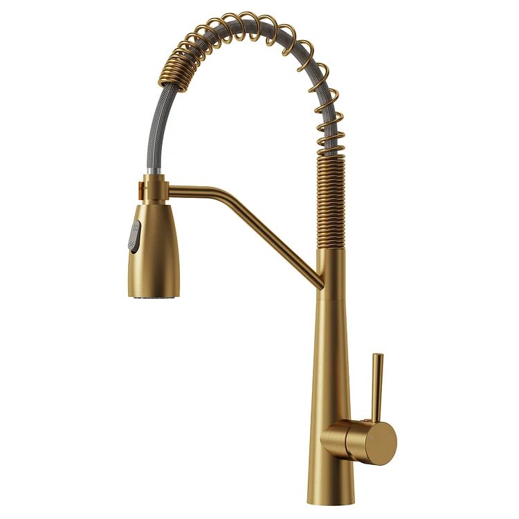 EVERSTEIN Dual Spray Pull Down Kitchen Faucet Brushed Gold SFS-1133-GD
