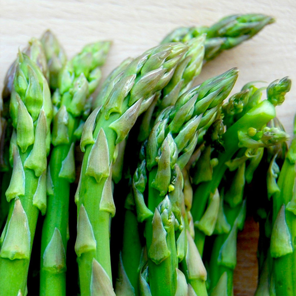 Planting Asparagus Seeds All Seasons