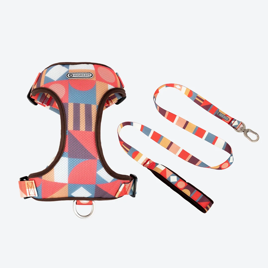 Vibrant Colorblock Harness & Leash Walk Kit
