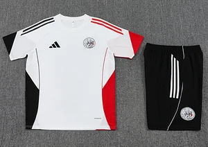 Ajax training jersey 1:1 Thai Quality Set