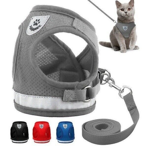 Reflective Cat & Kitten Harness And Leash Set